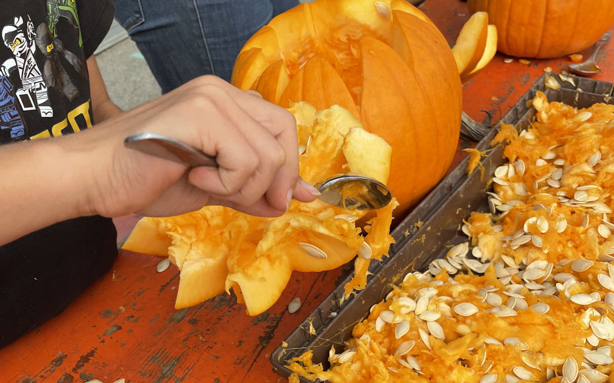 Eine Hand mit einem Löffel entfernt das Fruchtfleisch und die Kerne aus einem halbierten Kürbis. Im Hintergrund sind weitere Kürbisse und ein Blech mit Kürbiskernen zu sehen. Der Tisch ist orangefarben.
