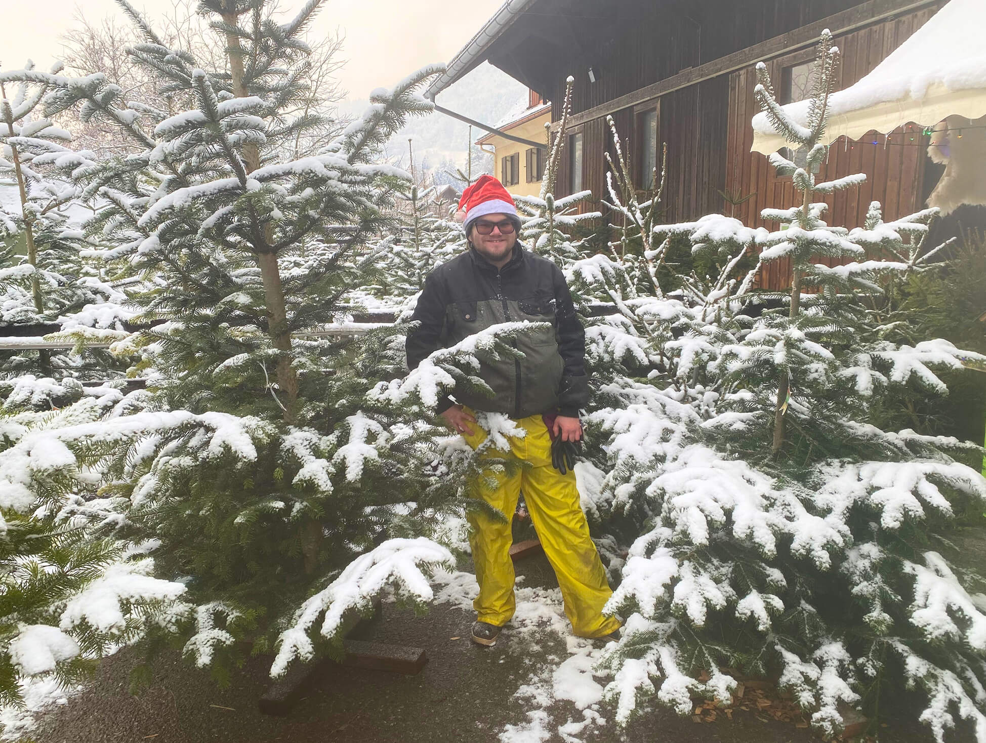 AUSVERKAUFT - Christbaumverkauf