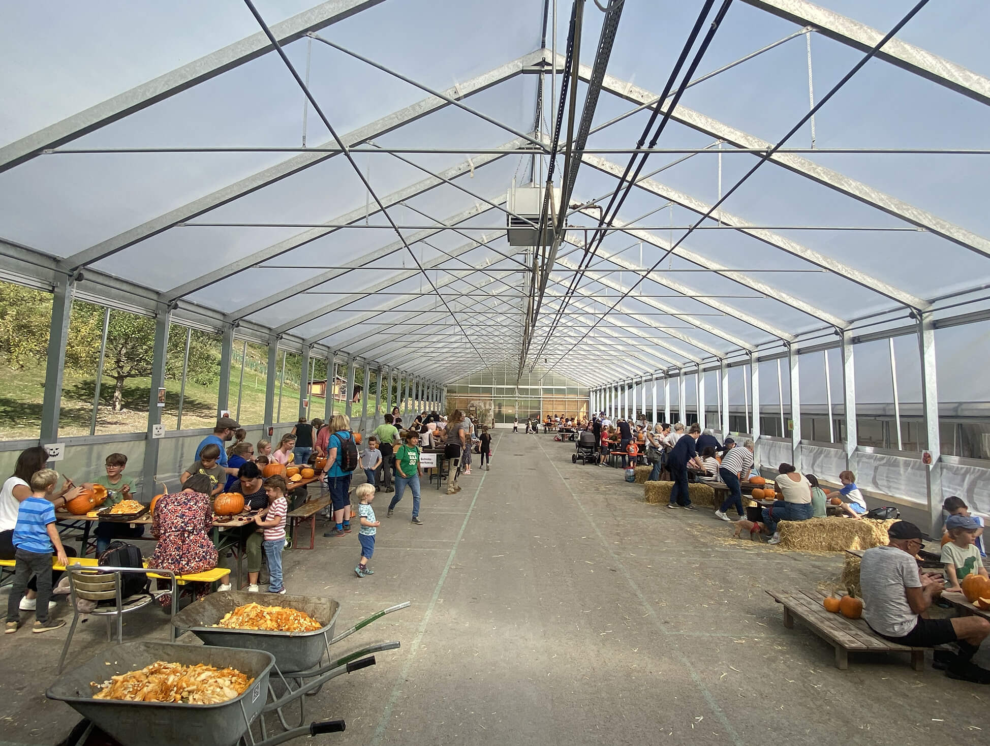 Auf dem Sunnahof dreht sich alles um den Kürbis