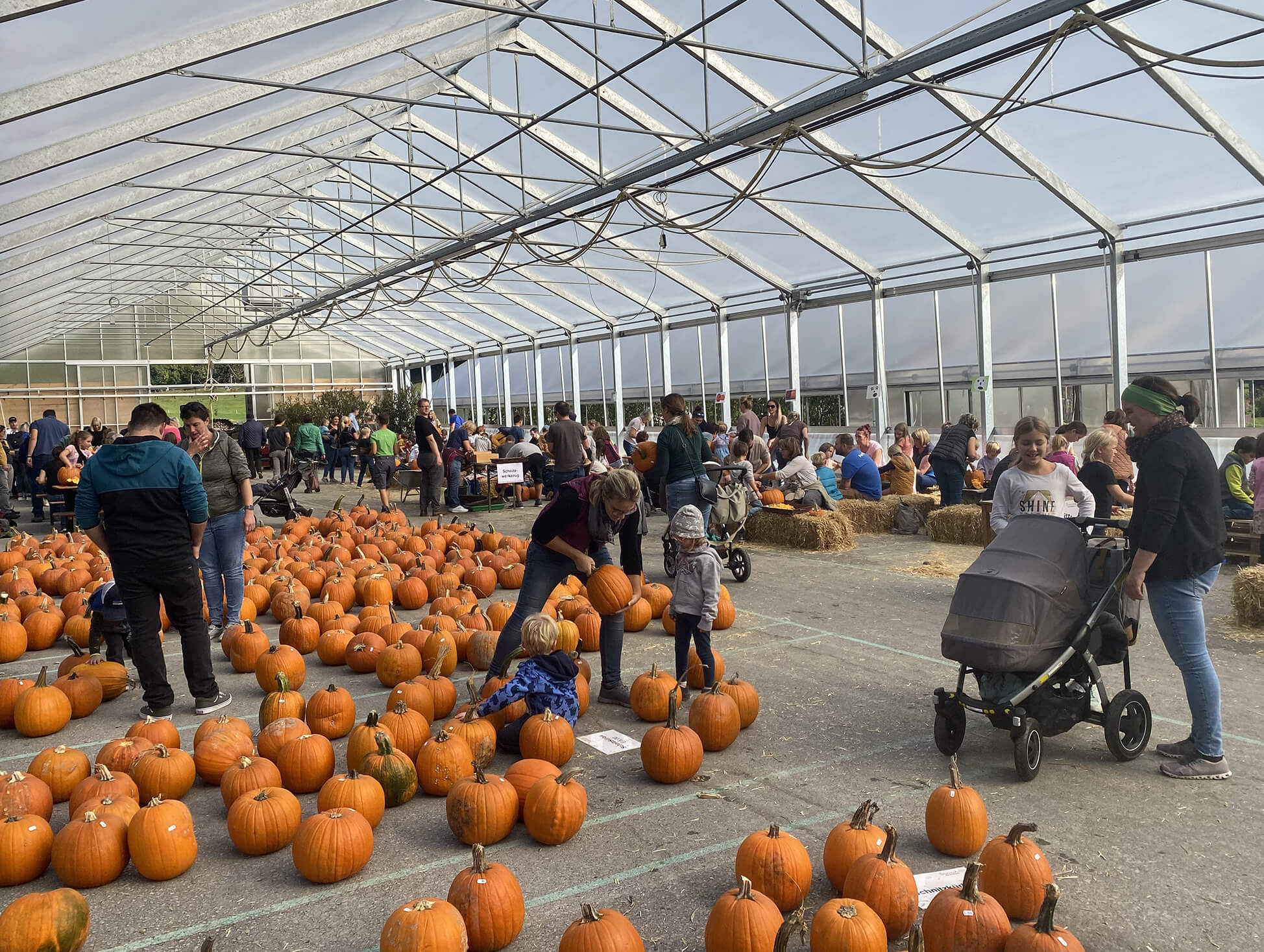 Bald ist wieder Kürbiszeit am Sunnahof!