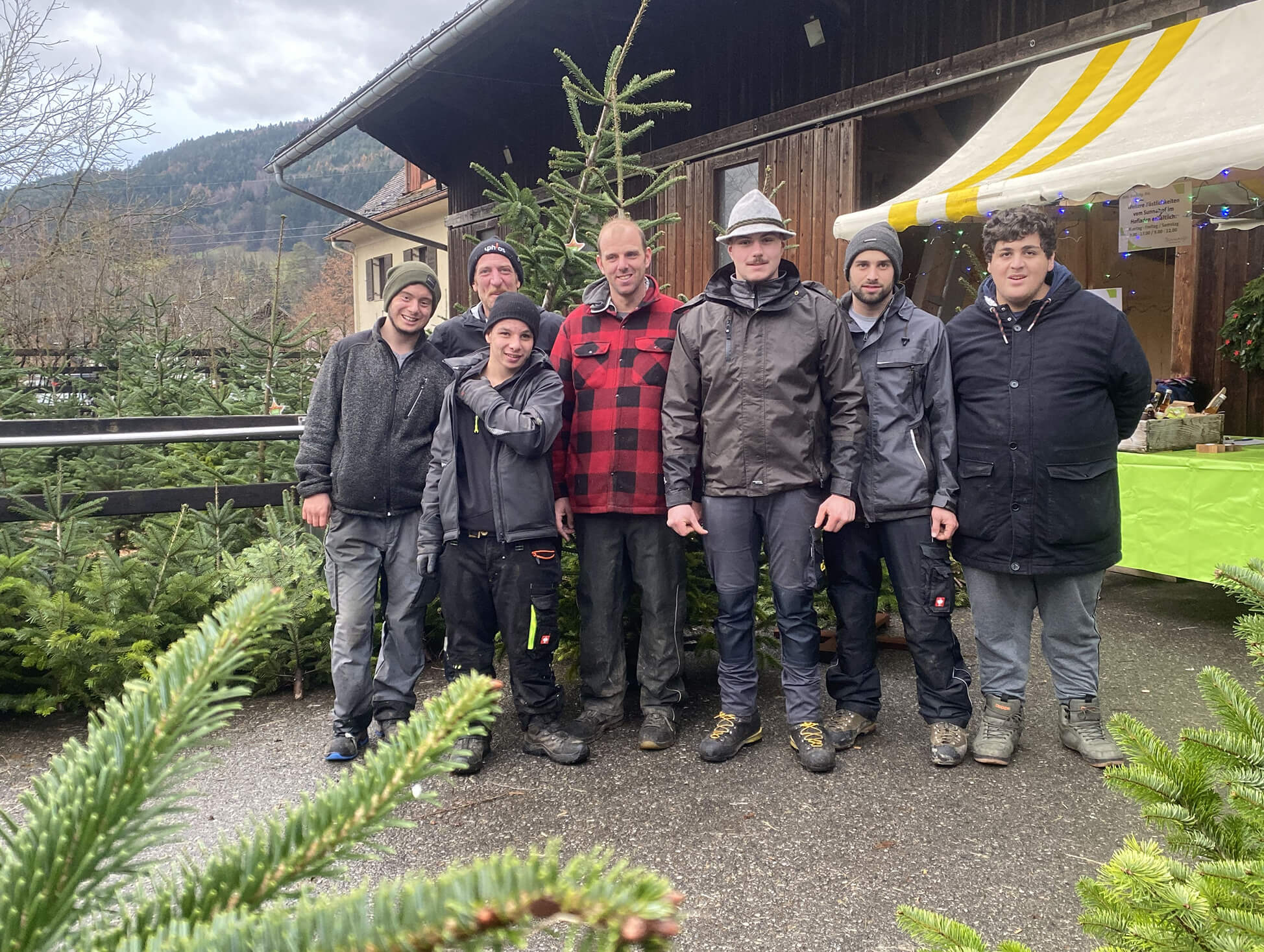 Festliche Bäume und bsundrige Stimmung auf dem Sunnahof
