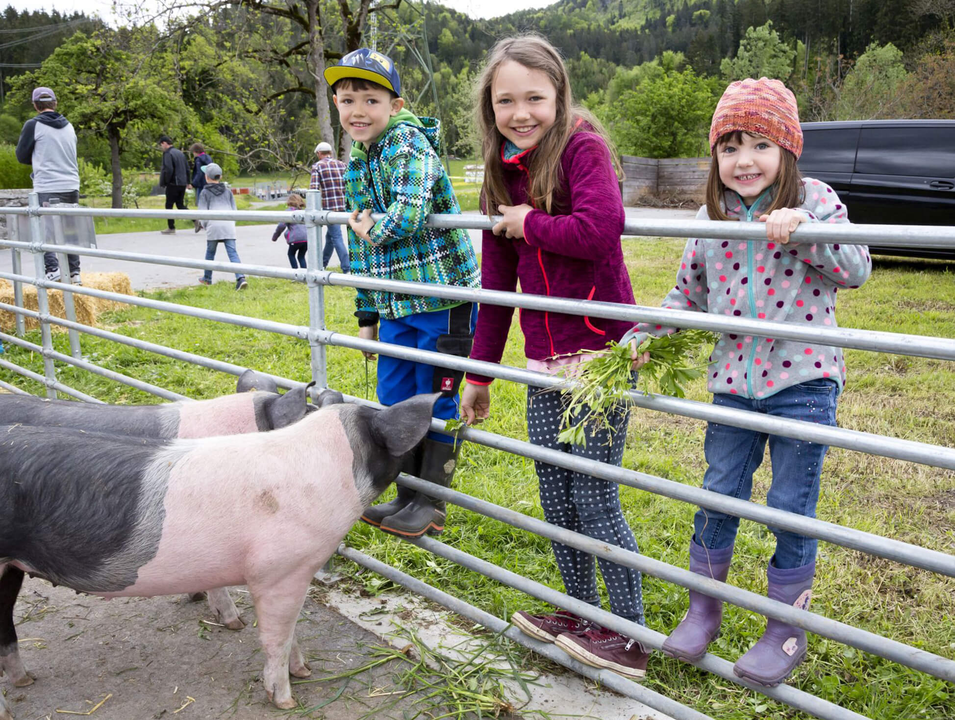 Frühlingswoche am Sunnahof