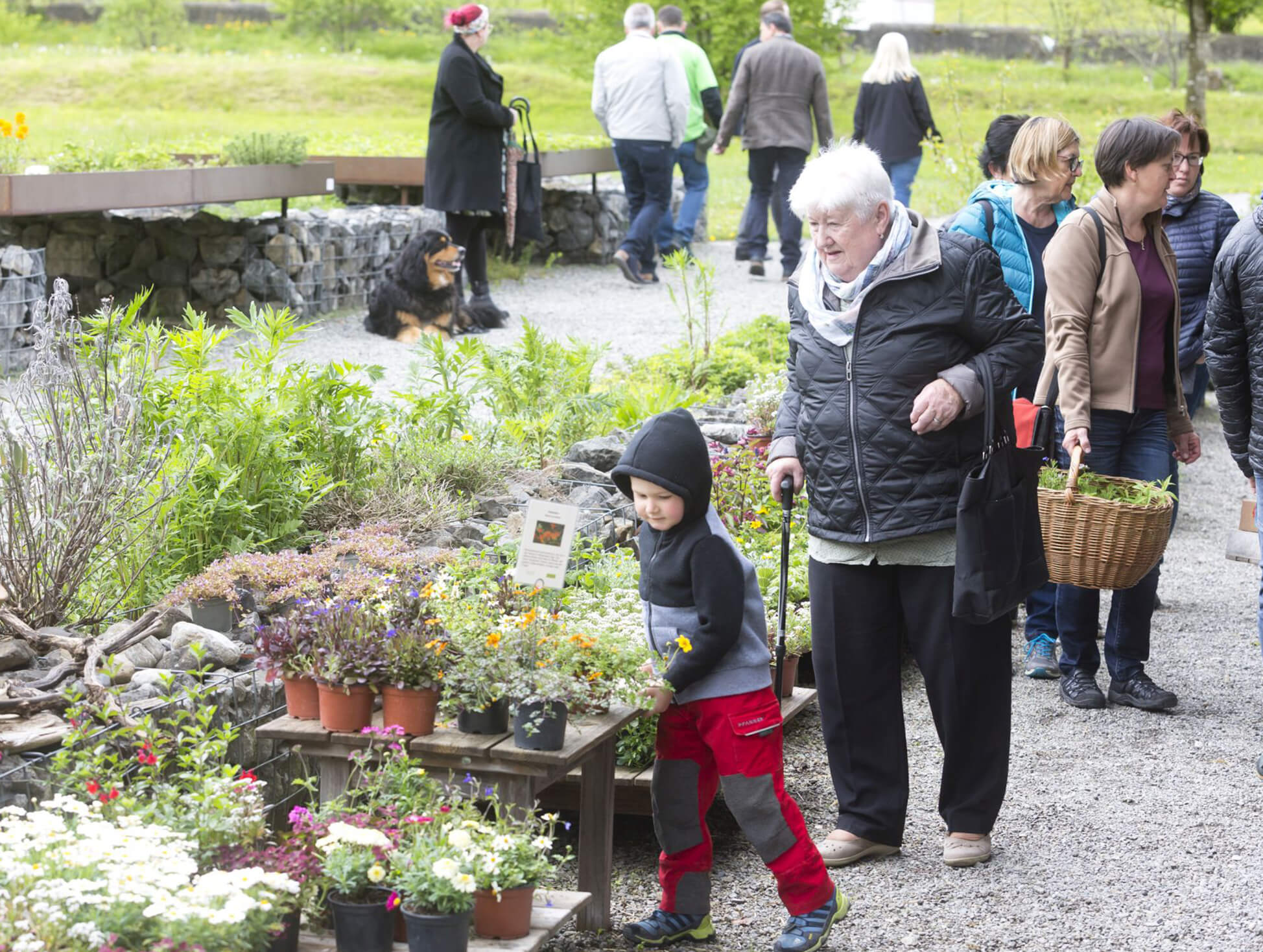 Frühlingswoche - das alles erwartet Sie!