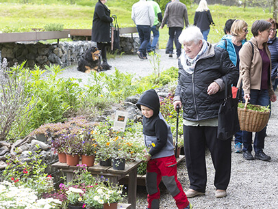 Frühlingswoche - das alles erwartet Sie!