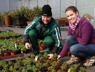 Die Sunnahof-Gärtnerei blüht auf