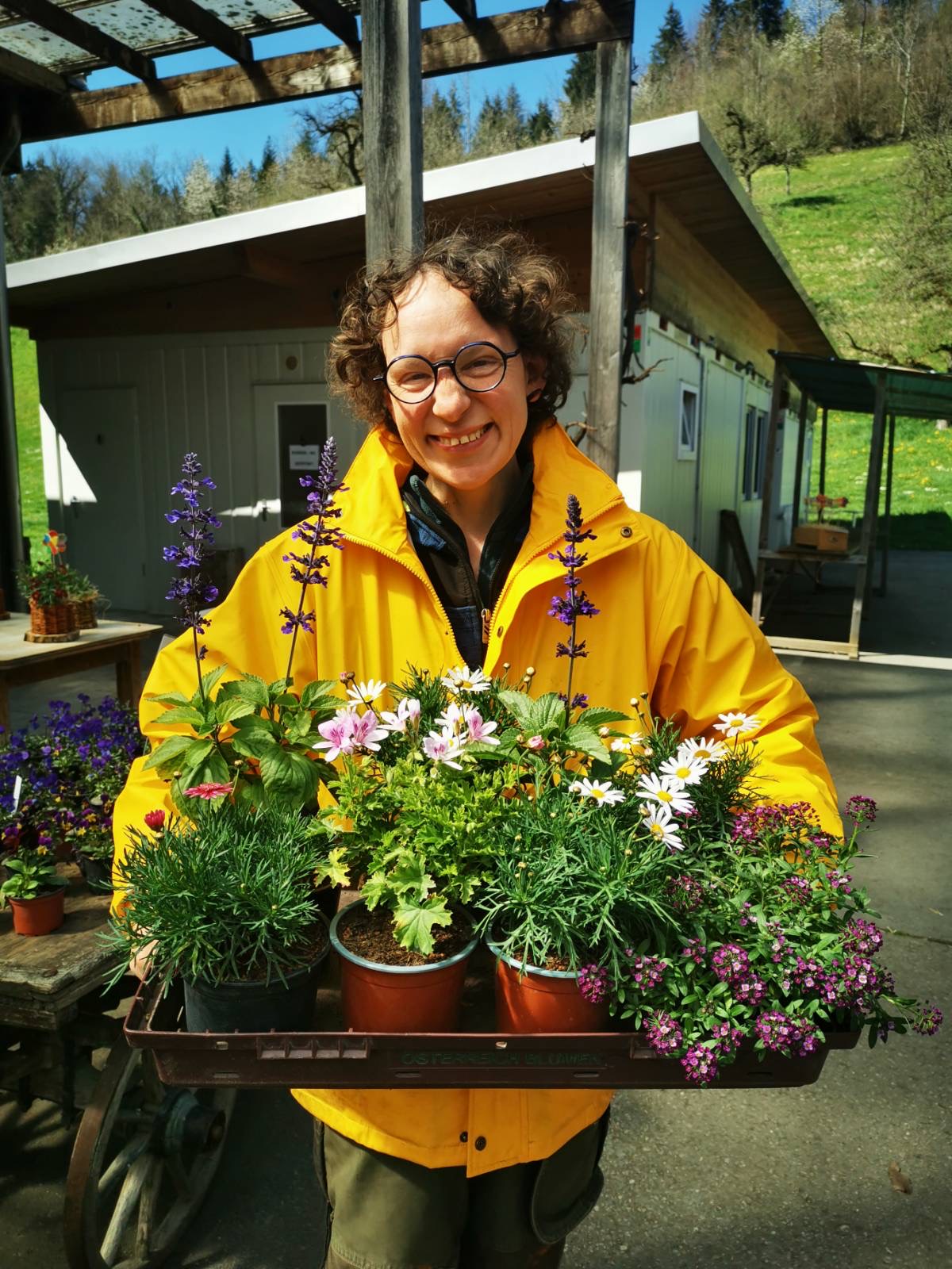 Frühlingsverkauf und Frühlingswoche