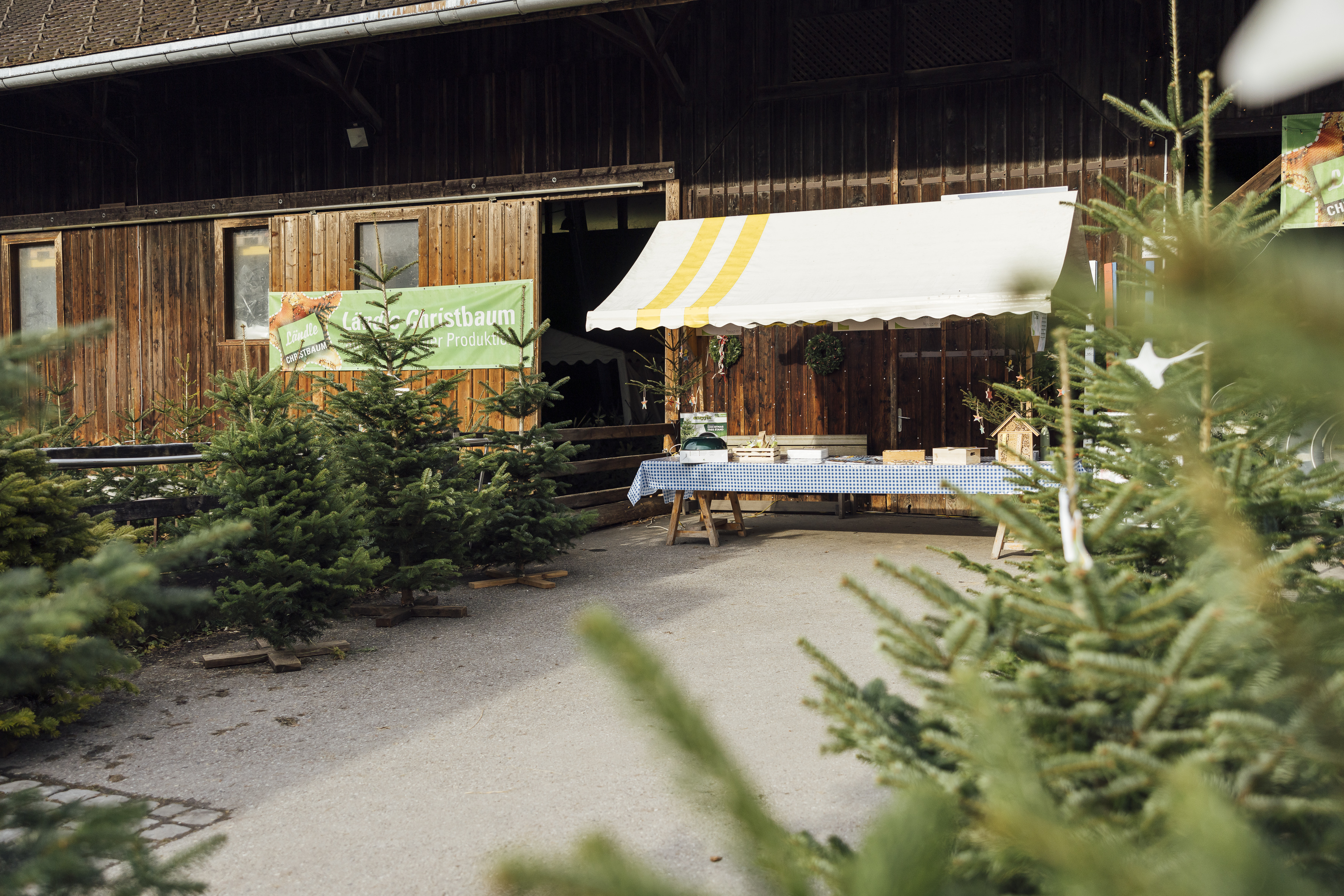 Christbaumverkauf am Sunnahof - mehr als ein herkömmlicher Verkauf