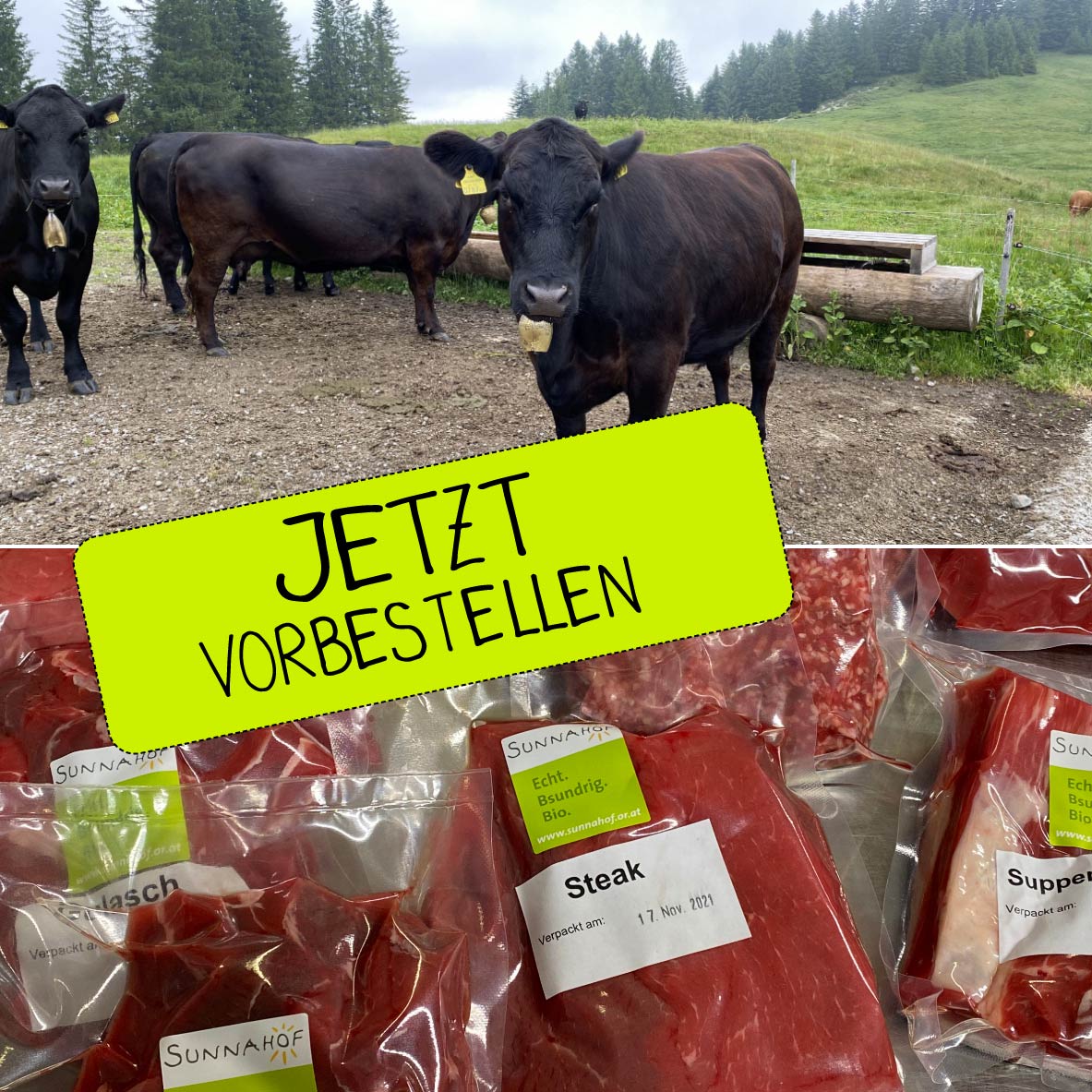 JETZT Bio-Rindfleisch bestellen