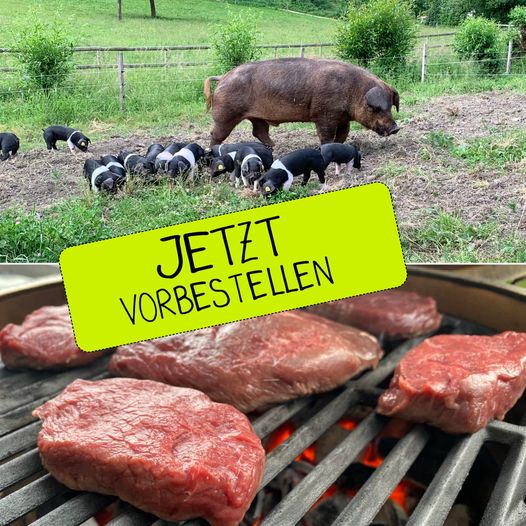 JETZT Bio-Schweinefleisch bestellen