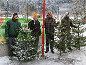 Vier Sunnahof-Mitarbeiter präsentieren Christbäume.